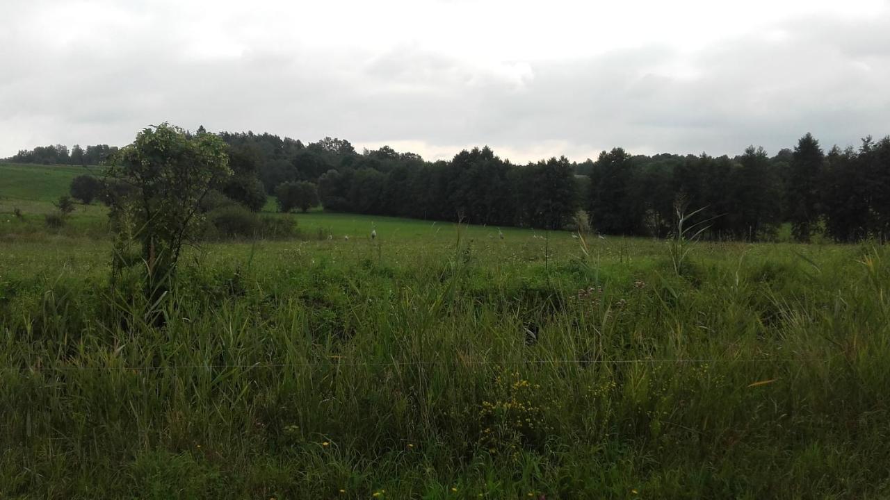Domek Bialojany Екстер'єр фото